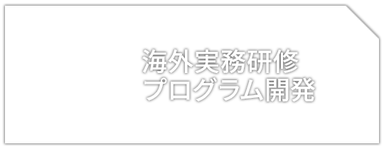 海外実務研修プログラム開発